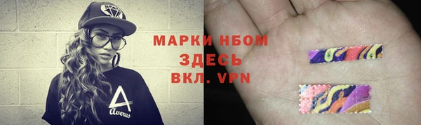 прущие грибы Балахна