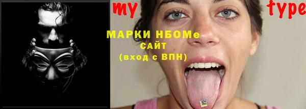 прущие грибы Балахна