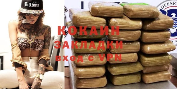прущие грибы Балахна